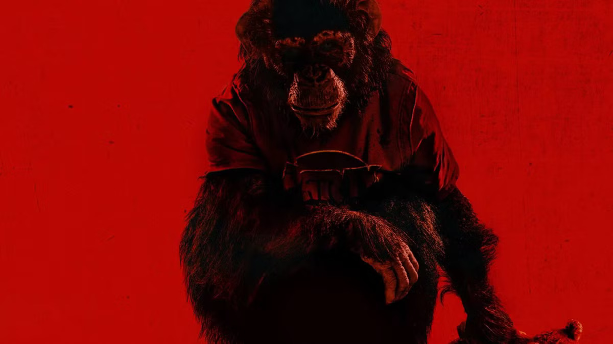 Szympans – recenzja filmu. Prosty, ale dobry horror