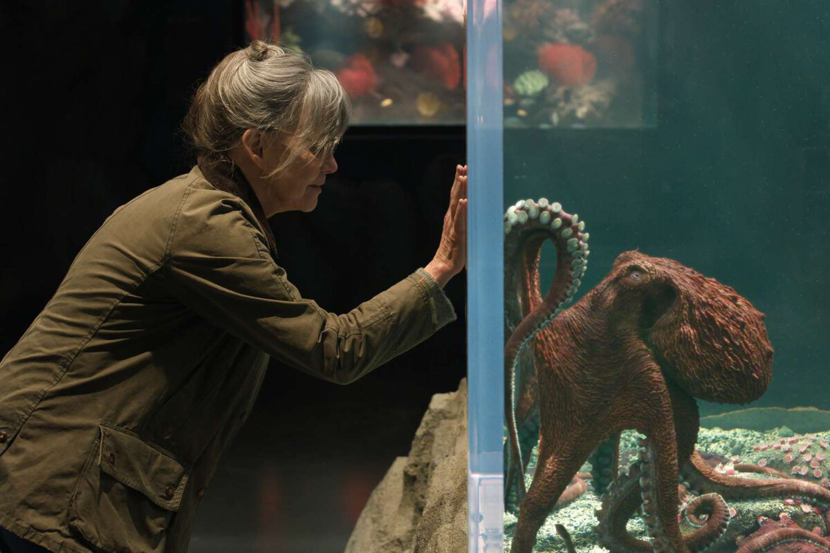 Niezwykle szlachetne stworzenia – film otrzymał nowy zwiastun