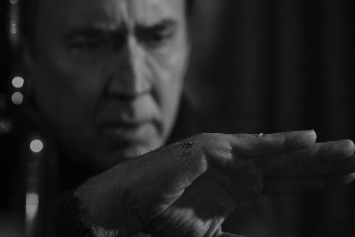 Spider-Noir – zwiastun finałowy
