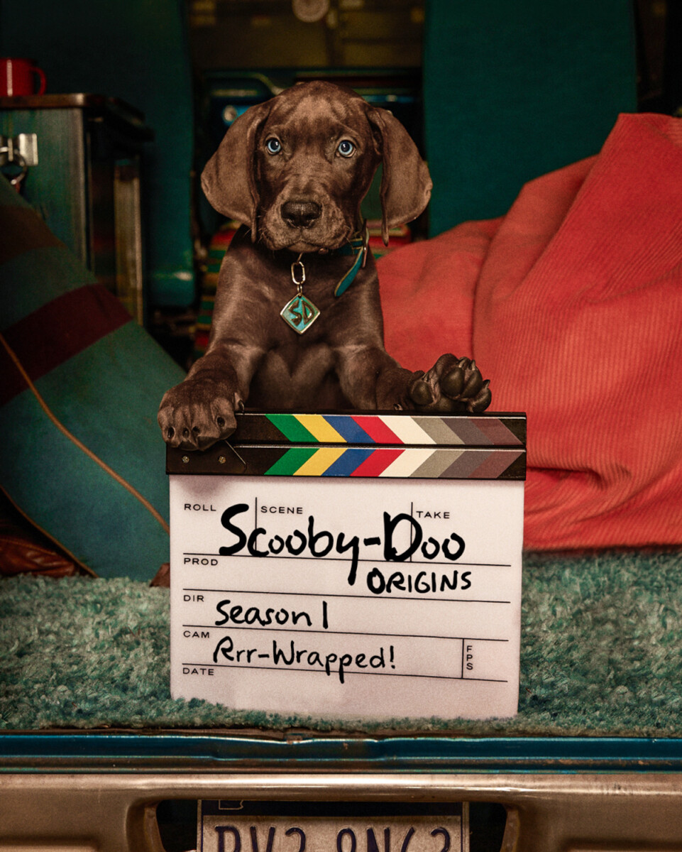 Scooby-Doo: Origins – zakończono zdjęcia do serialu Netfliksa