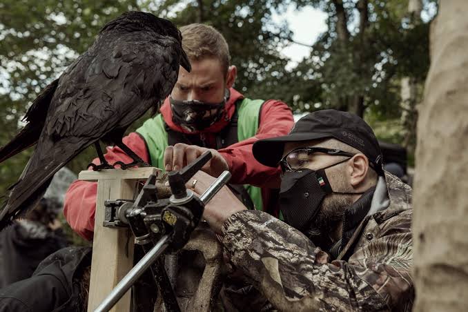 Robert Eggers nakręci swoja wersję Romea i Julii